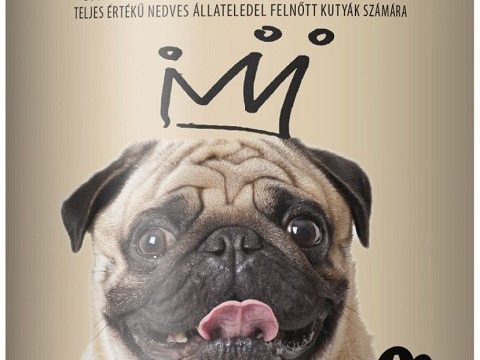 HRANA ZA PSE 1240G GOVEDINA EVERYDAY DOG